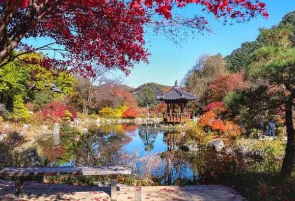 南(nán)京景區(qū)十一(yī)假期接待1618.2萬人(rén)次 旅遊總收入219.6億元